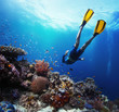 Freediver