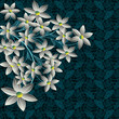 abstract vector illustration of floral