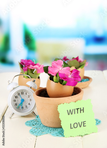 Photo: Flowers growing from egg shell, on bright background Flowers growing from egg shell, on bright background