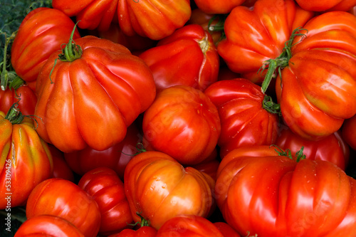 Photo: Französische Bauchtomaten Französische Bauchtomaten