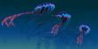 Red and Blue Jellyfish