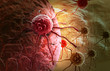 cancer cell