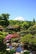 5月の富士山