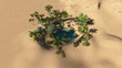 Oasis