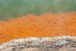 orange deposits on ledges in Champagne pool