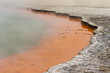 Champagne pool