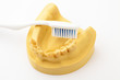 Denture and toothbrush