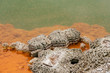 detail of colourful deposits in Champagne pool