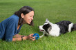 Fetch the ball
