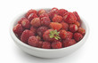 Wild strawberry