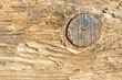 holzbrett mit ast