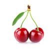 Photo: ripe juicy cherry with drop dew and green leaves ripe juicy cherry with drop dew and green leaves