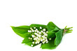 Bunch of white flowers of Lily of the Valley with a few leaves
