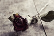 dried rose on table