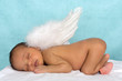Angel newborn baby