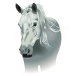 White Horse