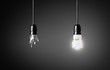 One broken and one glowing energy saving light bulb.