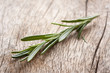 Rosemary twig on wooden table