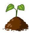 green plant