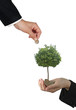 Foto: Investment to agriculture Investment to agriculture