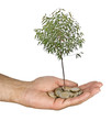 Investing to green business