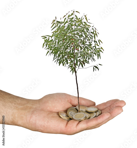 Photo: Investing to green business Investing to green business