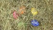 A hand cvollects a few estaer eggs from a pile of straw.