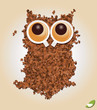 Owl made of coffee beans, no sleep, vector