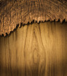 bark wood use for natural textured and background