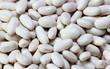 Alubias blancas