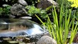 Garden pond with water fountain