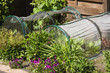 Fruit- and grocery greenhouses in garden