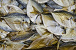 Background of dried fish