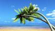 Photo: tropical landscape tropical landscape