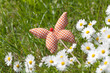Endlich Frühling, Gänseblümchen, Schmetterling, Stofftiere