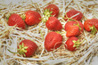 frische Erdbeeren auf Stroh