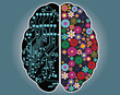 Left and right side of the brain, logic and creativity, vector