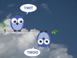 Owls calling to each other against a cloudy blue sky