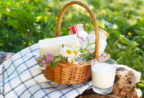 Photo: Different milk products: cheese, cream, milk Different milk products: cheese, cream, milk