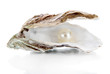 Open oyster with pearl isolated on white