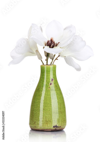Photo: Beautiful magnolia in vase isolated on white Beautiful magnolia in vase isolated on white