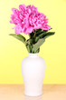 Beautiful peonies in vase on table on yellow background