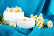 Cream with chamomile on blue fabric background