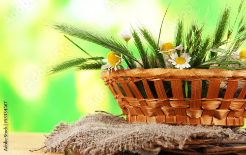 Photo: Many spikelets and chamomile Many spikelets and chamomile