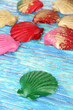 Colorful seashells on bright background