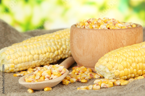 Photo: Fresh and dried corn on sackcloth, on bright background Fresh and dried corn on sackcloth, on bright background