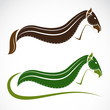Vector image of an horse on white background