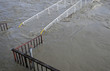 Flood on Danube, june 2013