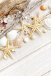 Sea shells background
