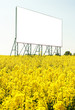 Photo: Big Billboard Big Billboard